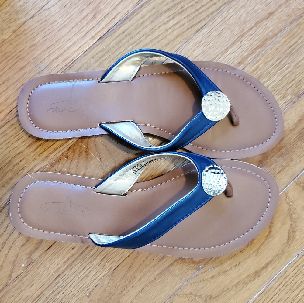 Navy/brown/silver dressy flip-flops